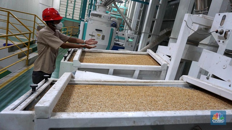 Direktur Utama (Dirut) Perum Bulog Bayu Krisnamurthi saat meninjau serapan gabah di SPP Karawang, Jawa Barat, Senin (20/5/2024). (CNBC Indonesia/Muhammad Sabki)