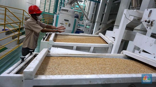 Bukan Rp 6.500/Kg, Bulog Beli Gabah Petani Harganya Tembus Segini