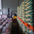 Bos Bulog Siap Borong Beras Petani di Musim Panen