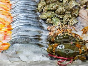 Harus Coba! 5 Seafood Istimewa yang Rasanya Enak