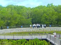 Jokowi Pamerkan Tahura Mangrove ke Para Delegasi World Water Forum