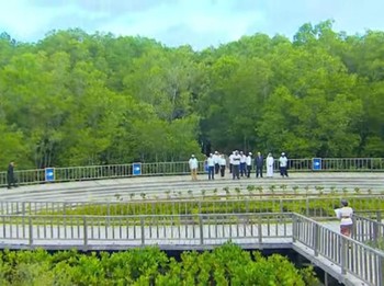 Jokowi Pamerkan Tahura Mangrove ke Para Delegasi World Water Forum