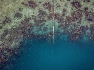 Kronologi 3 Aktivis Penolak Tambak Udang Dilaporkan-Tak Terbukti Bersalah