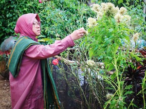 Said Abdullah Bocorkan Peluang PDIP Calonkan Risma di Pilgub Jatim 2024