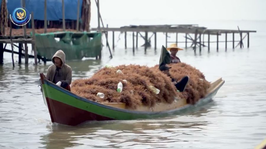 Kampung budidaya rumput laut di Mamolo, Nunukan Selatan. (Instagram @kkpgoid)