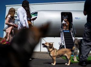 Maskapai Penerbangan Anjing Terbang ke 5 Destinasi Baru