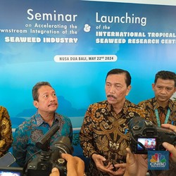 Gara-Gara Rumput Laut, Luhut Ngaku Siap Dampingi Prabowo Subianto