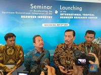 Gara-Gara Rumput Laut, Luhut Ngaku Siap Dampingi Prabowo Subianto