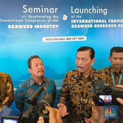 Luhut Yakin Hilirisasi Rumput Laut Susul Nikel, Bidik Ekspor Rp304 T