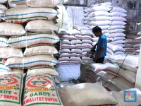 Alert! Harga Beras dan Gabah Petani Mulai Naik Lagi, Ini Data Terbaru