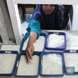 Tiba-Tiba Harga Beras Naik Lagi, Pedagang Pasar Ungkap Biang Keroknya