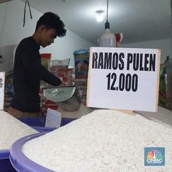 Ya Ampun! Harga Beras Bakal Meledak Lagi Efek Produksi Tekor