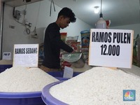 Ya Ampun! Harga Beras Bakal Meledak Lagi Efek Produksi Tekor