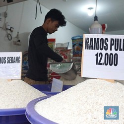 Ahli Sebut Bansos Jokowi Tak Efektif Jaga Harga Beras, Beberkan Bukti