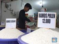 Ahli Sebut Bansos Jokowi Tak Efektif Jaga Harga Beras, Beberkan Bukti