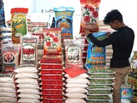 Siap-siap Petaka Baru Intai RI! Produksi Beras Kurang, Harga OTW Naik