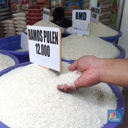 Impor Pangan RI Naik di Januari-Agustus 2024, Beras Meroket 121%