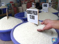 Impor Pangan RI Naik di Januari-Agustus 2024, Beras Meroket 121%