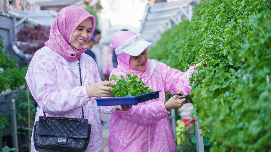 Anggota BRInita Mengembangkan Urban Farming