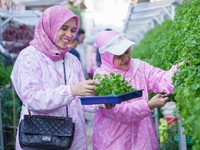 Lewat BRI Peduli, BRInita Sukses Sulap TPS Liar Jadi Urban Farming