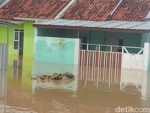 Banjir Rendam 3 Kecamatan di Cirebon Timur gegara Cisanggarung Meluap