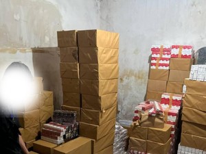 Bea Cukai Denpasar Tangkap Pengedar Rokok Ilegal, Kerugian Capai Rp 642 Juta