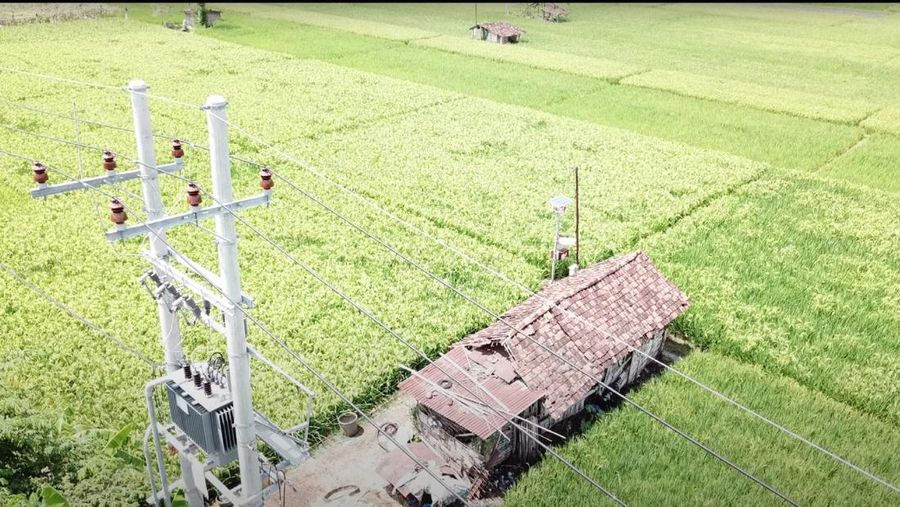 Jaringan tegangan listrik di areal persawahan Desa Sukorejo, Ponorogo, Jawa Timur. PLN menghadirkan program electrifying agriculture yang mendorong petani menggunakan teknologi berbasis listrik dalam proses pertaniannya. Program electrifying agriculture juga sukses meningkatkan produktivitas pelaku usaha di sektor pertanian. (Dok: PT PLN (Persero)