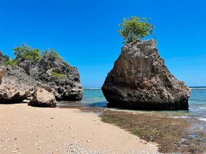 Pantai Bingin: Daya Tarik, Fasilitas, Jam Buka, Lokasi, dan Rute