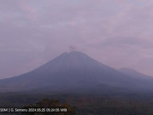 Gunung Semeru Erupsi Semburkan Abu Vulkanik Setinggi 700 Meter