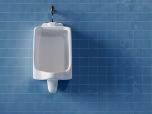 Pernah Lihat Lalat di Urinoir Toilet Pria? Ternyata Bikin Toilet Bersih!