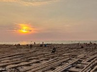 Jadi Satu-satunya di RI, Jalan Tol Ini Dibangun Pakai Bambu
