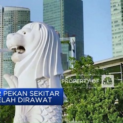 Video: Covid-19 Singapura Kembali Meledak, Tembus 250 Ribu Kasus