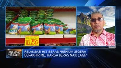 Gejolak Harga Beras Bikin Rugi Petani hingga Pedagang, Ada Solusi?