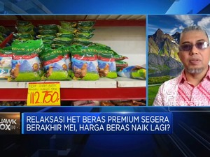 Gejolak Harga Beras Bikin Rugi Petani hingga Pedagang, Ada Solusi?