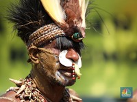 All Eyes on Papua, Berapa Luas Hutan Adat yang Diakui Negara?