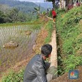 Hore! 1 Desa Dapat Rp943,34 Juta di Tahun Pertama Prabowo