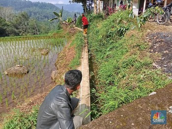 Hore! 1 Desa Dapat Rp943,34 Juta di Tahun Pertama Prabowo