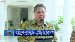Airlangga Beberkan Hasil Pertemuan Jokowi dan Sekjen OECD di Bogor