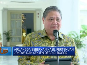 Airlangga Beberkan Hasil Pertemuan Jokowi dan Sekjen OECD di Bogor