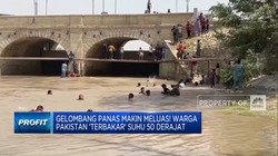 Video: Gelombang Panas Meluas! Pakistan 'Terbakar' Suhu 50 Derajat