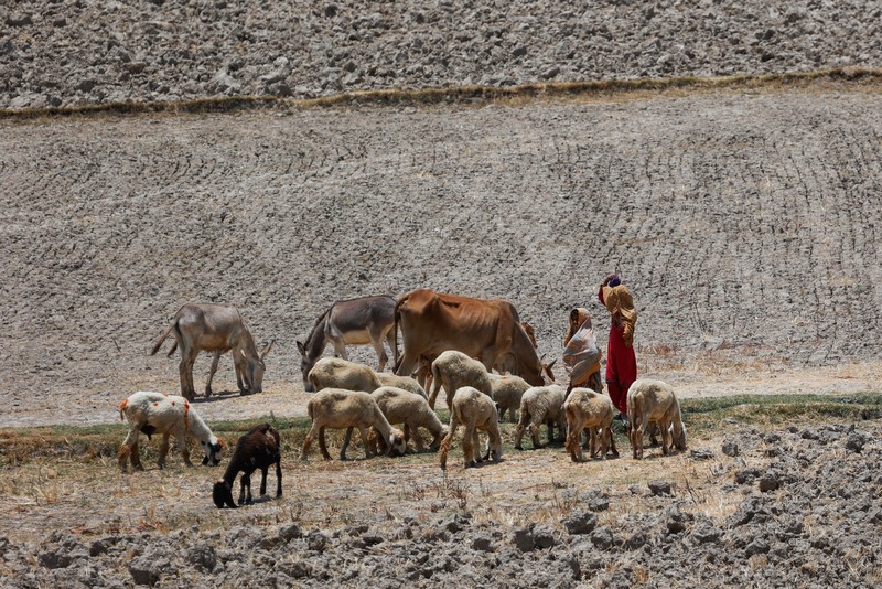 Suhu di Pakistan tembus 52 derajat celcius akibat gelombang panas. (REUTERS/Akhtar Soomro) Suhu di Pakistan tembus 52 derajat celcius akibat gelombang panas. (REUTERS/Akhtar Soomro)