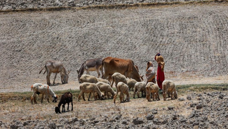 Suhu di Pakistan tembus 52 derajat celcius akibat gelombang panas. (REUTERS/Akhtar Soomro)