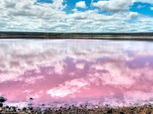 Danau Ini Berwarna Merah Muda Alami, Apa Sebabnya?