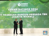 Kepedulian Harita Nickel Pada Flora dan Fauna Sekitar Tambang