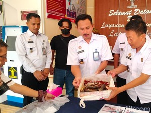 Lapas Brebes Gagalkan Penyelundupan Obat Terlarang Dicampur Ikan Balado