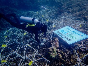 BRI Gandeng Pokdarwis Ujung Bulo Bantu Jaga Ekosistem Laut