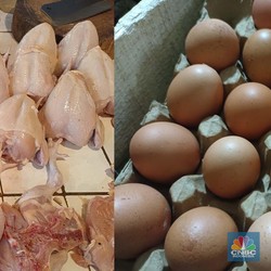 Janggal, Pedagang Bingung Harga Daging-Telur Ayam Ogah Turun