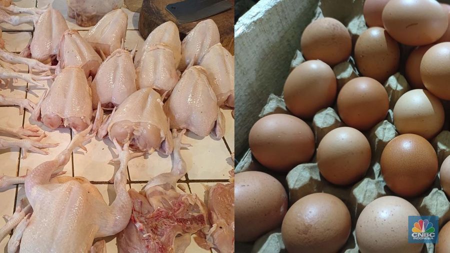 Daging dan Telur (CNBC Indonesia/Martyasari Rizky)