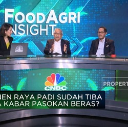 Gak Cuma Efek El Nino, Produksi Beras Anjlok Imbas Alih Fungsi Lahan!