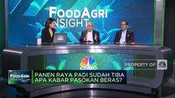 Gak Cuma Efek El Nino, Produksi Beras Anjlok Imbas Alih Fungsi Lahan!